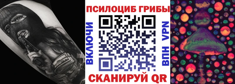 Галлюциногенные грибы Cubensis  закладка  МЕГА маркетплейс  Красноармейск 